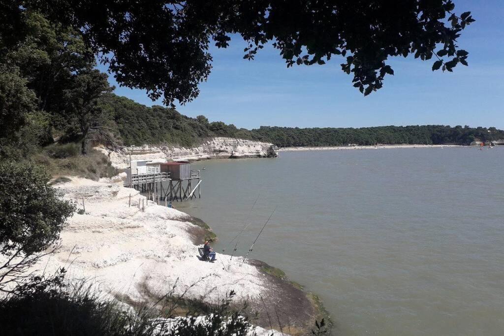 Maison Au Coeur De Meschers - Proche Des Plages Dış mekan fotoğraf